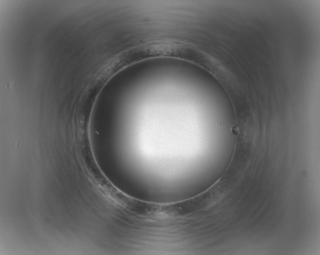 X0000082930737200702011239