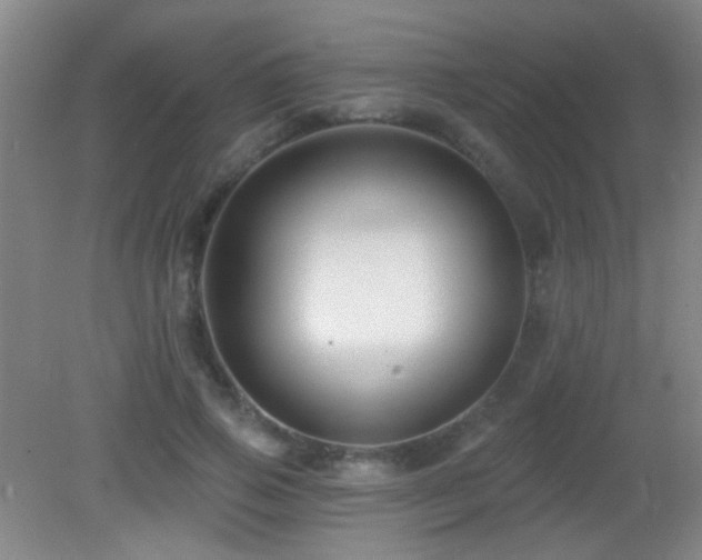 X0000082930741200702011239