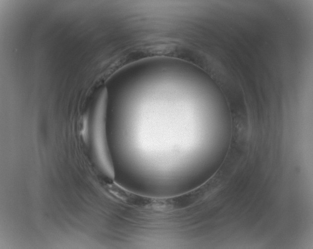 X0000082930745200702011239
