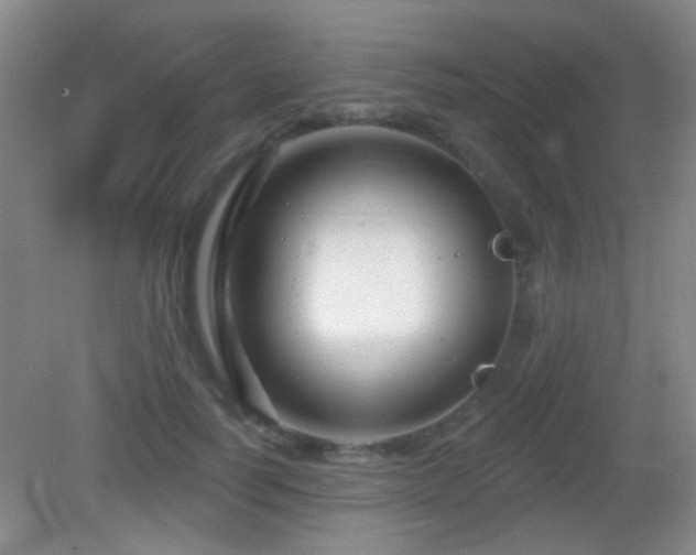 X0000082930746200702011239