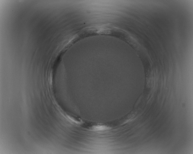 X0000082930748200702011239