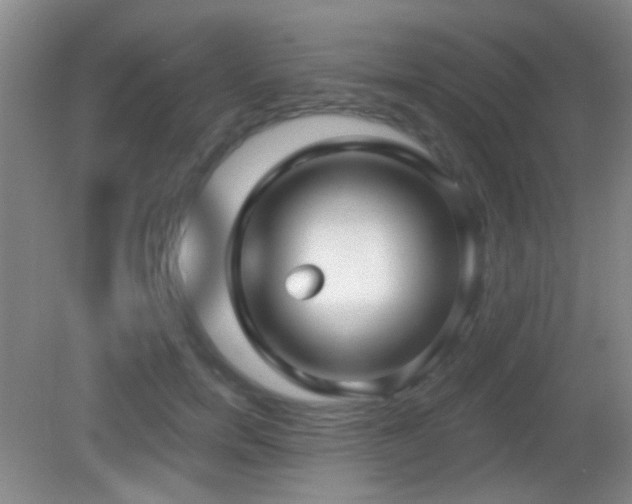 X0000082930750200702011239