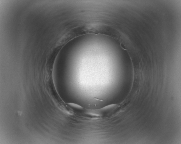 X0000082930751200702011239