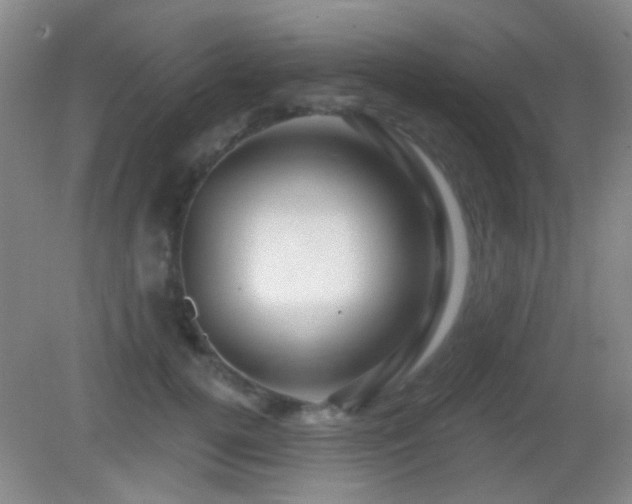 X0000082930752200702011239