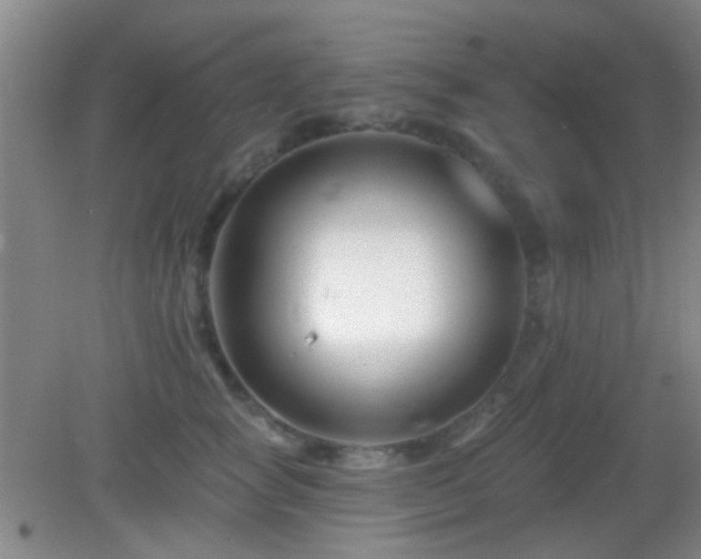 X0000082930757200702011239