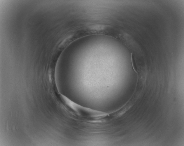 X0000082930758200702011239