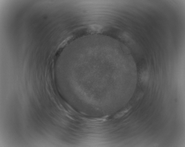 X0000082930759200702011239