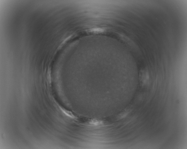 X0000082930760200702011239