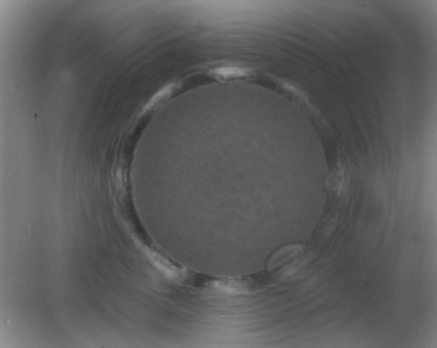 X0000082930763200702011239