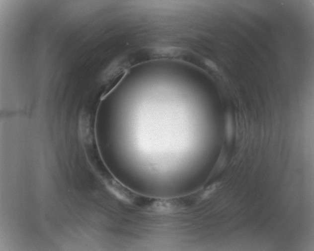 X0000082930764200702011240