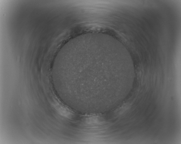 X0000082930769200702011239