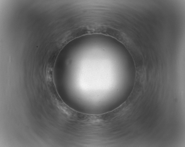 X0000082930770200702011239