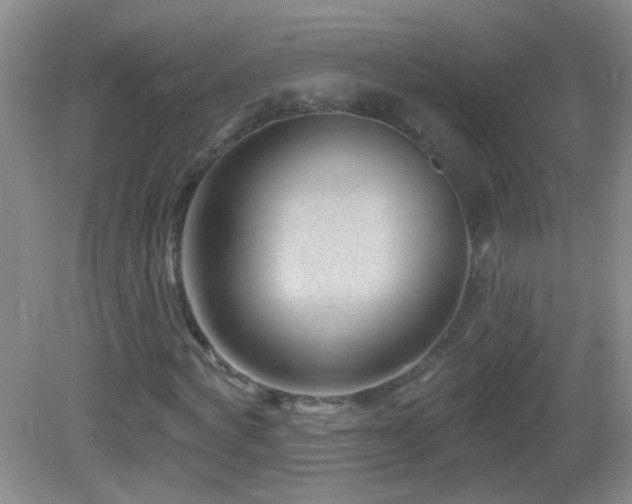 X0000082930772200702011239