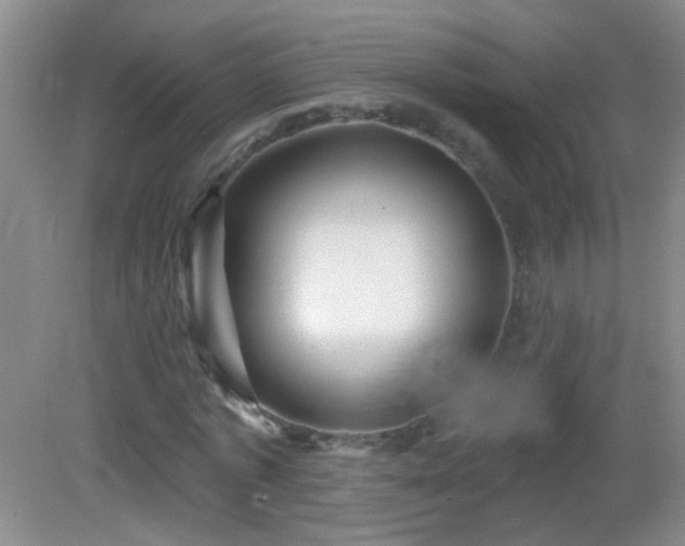 X0000082930773200702011239