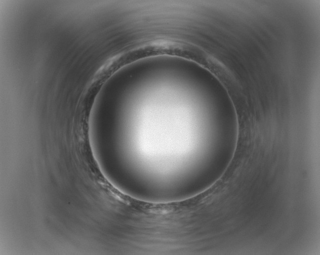X0000082930776200702011239