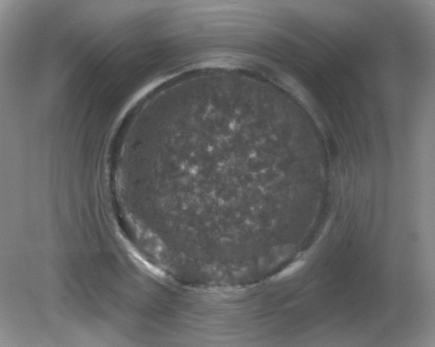 X0000082930779200702011239