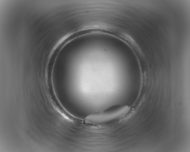 X0000082930780200702011239