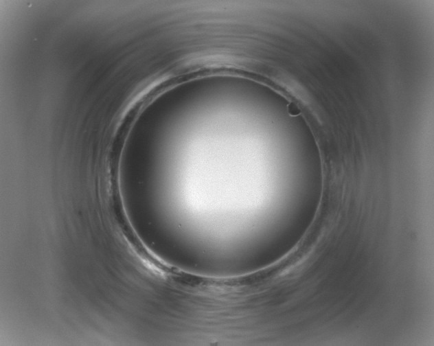 X0000082930782200702011239