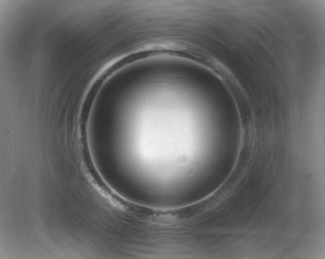 X0000082930784200702011239