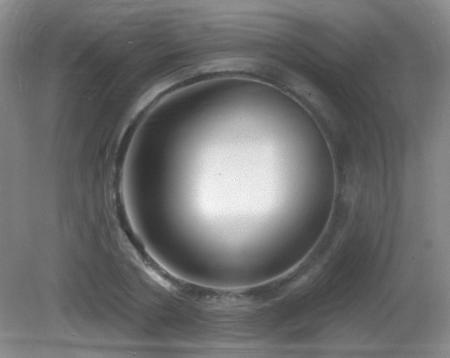 X0000082930786200702011238