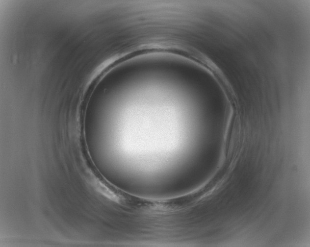 X0000082930787200702011238