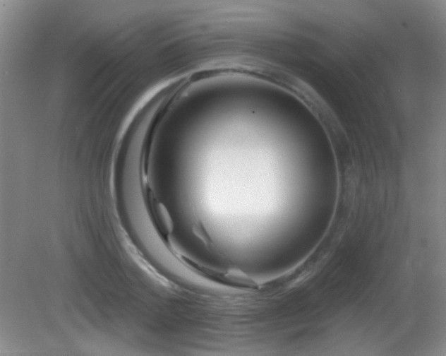 X0000082930788200702011238