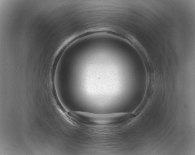 X0000082930789200702011238