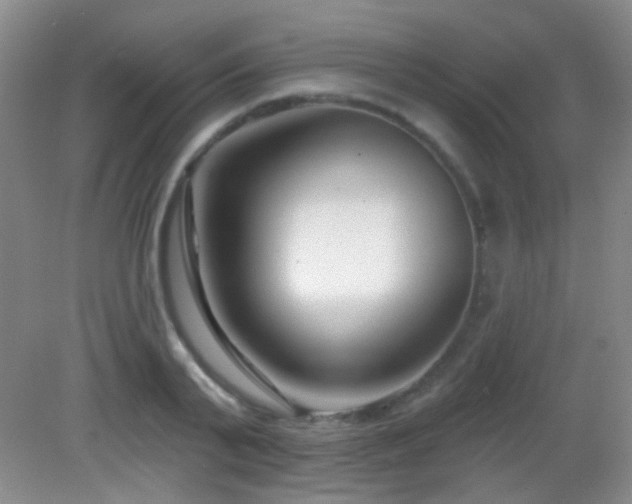 X0000082930791200702011238