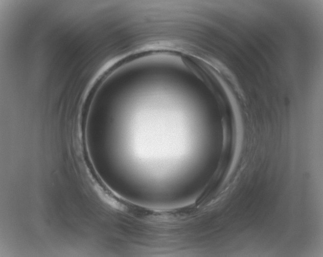 X0000082930792200702011238