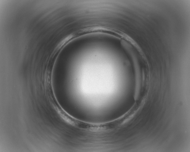 X0000082930793200702011238