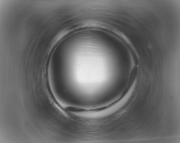 X0000082930799200702011238