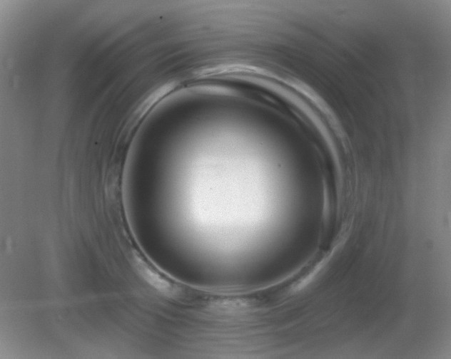 X0000082930801200702011238