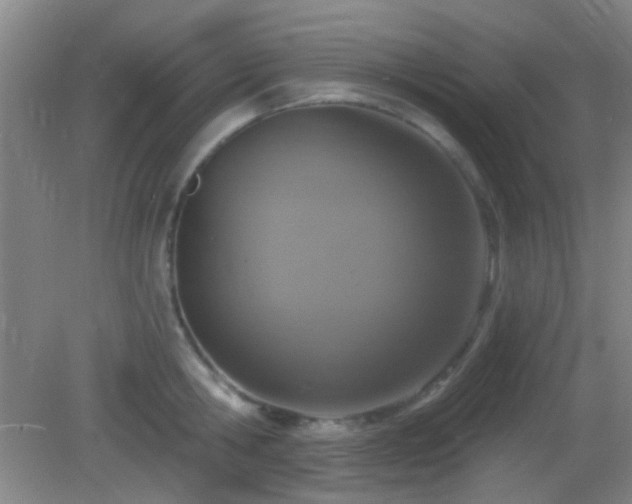 X0000082930806200702011238