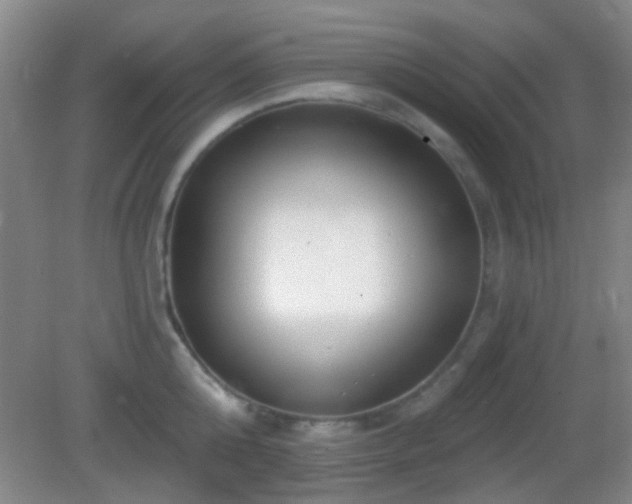 X0000082930808200702011238
