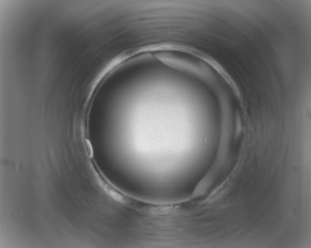 X0000082930813200702011238