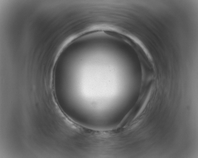 X0000082930815200702011238