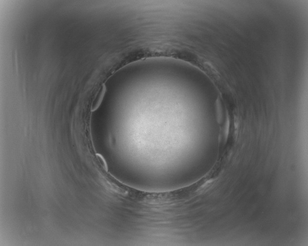 X0000082930817200702011237