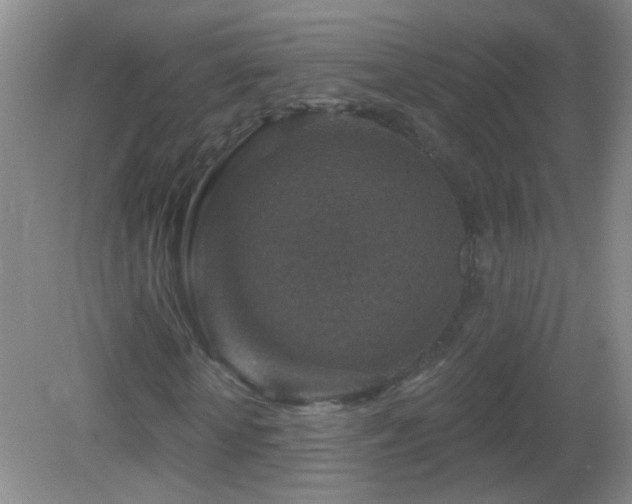 X0000082930818200702011237