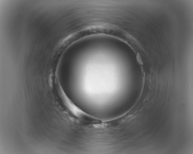 X0000082930822200702011237