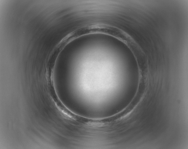 X0000082930825200702011237