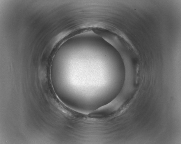 X0000082930826200702011237