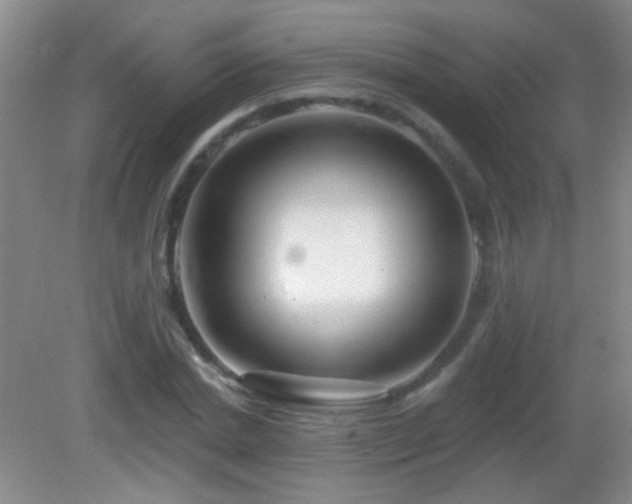 X0000082930830200702011237