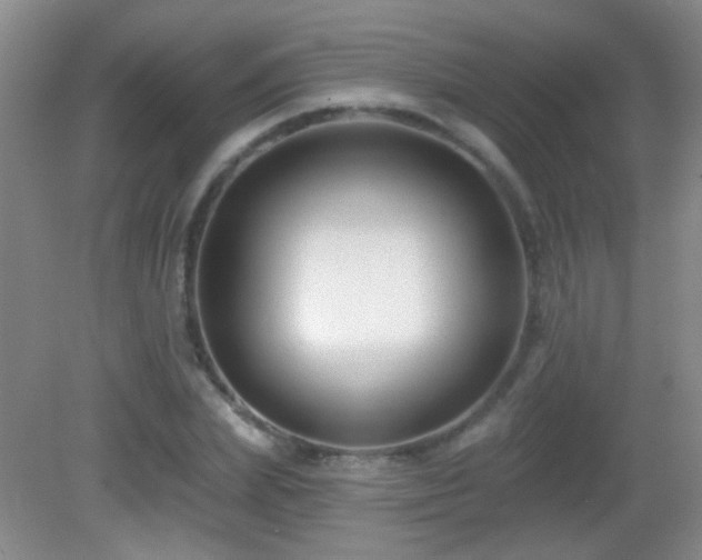 X0000082930831200702011237