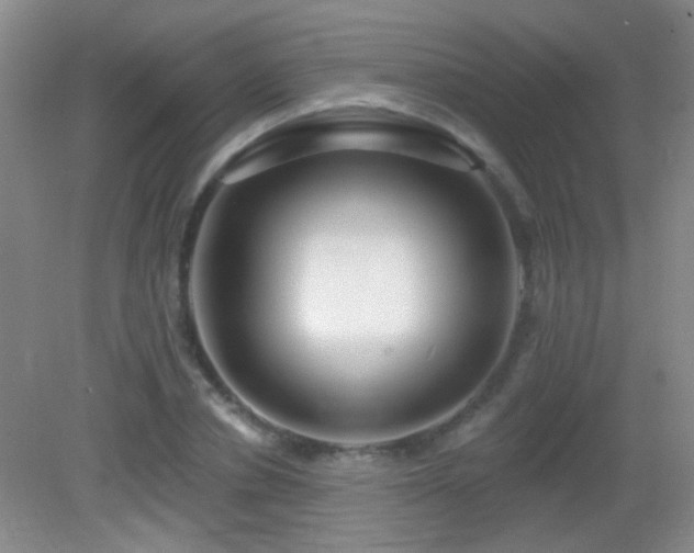 X0000082930834200702011237