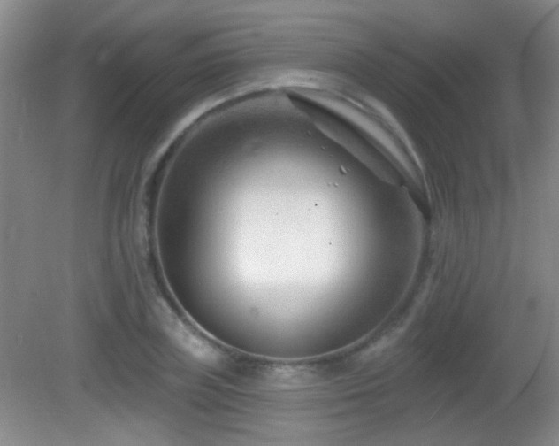 X0000082930835200702011237