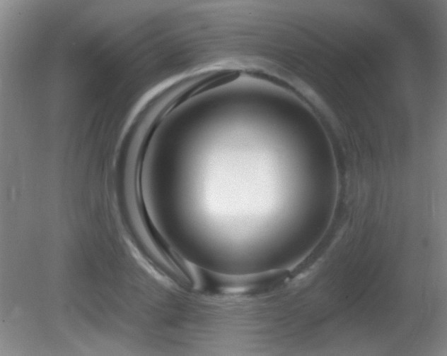 X0000082930838200702011238