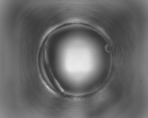 X0000082930839200702011238