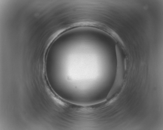 X0000082930844200702011238