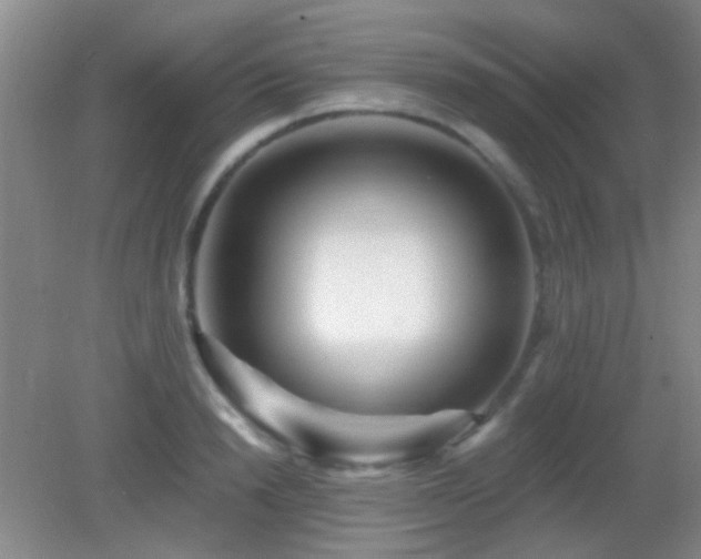 X0000082930846200702011238