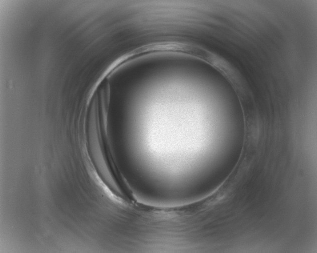 X0000082930852200702011238